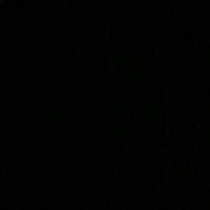 Meet your Posher, Dallalee